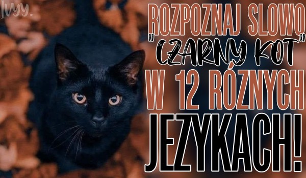 Rozpoznaj słowo „czarny kot” w 12 różnych językach!