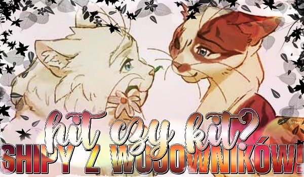 Hit czy Kit? – Shipy z Wojowników!