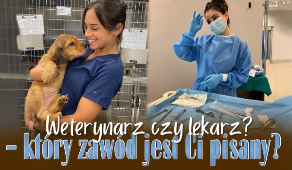 Weterynarz czy lekarz? — który zawód związany z medycyną jest Ci pisany?