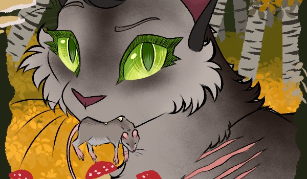 Historia Jastrzębiego Plusku. Rozdział 9