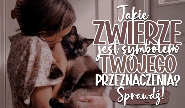 Jakie zwierzę jest symbolem Twojego przeznaczenia?