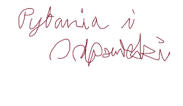 Pytania i Odpowiedzi – Present Simple