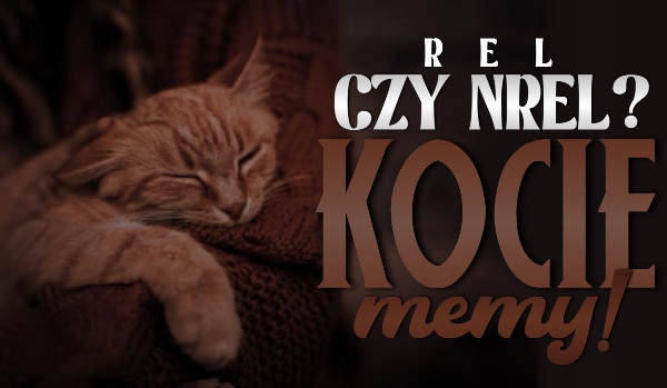 REL czy NREL? — Kocie memy!