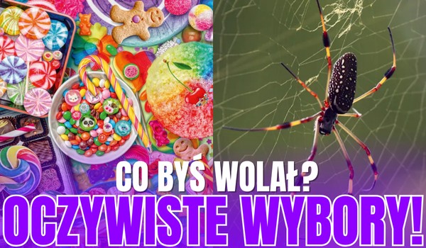 Co byś wolał? – TO SĄ OCZYWISTE WYBORY!