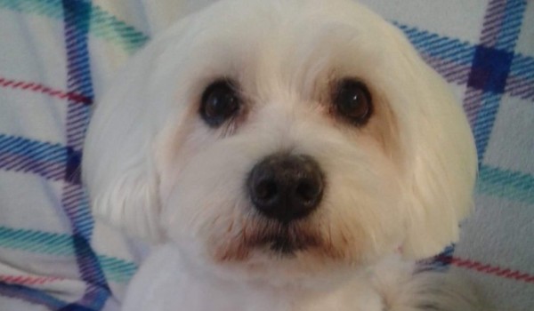 elożeloelożeloelożeloelożelo