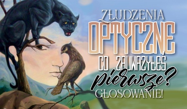 Złudzenia optyczne – głosowanie. Co zauważyłeś pierwsze?