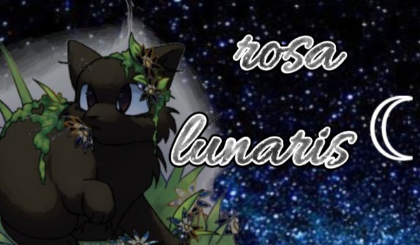 ☾︎Rosa Lunaris ☽︎ |Part one|