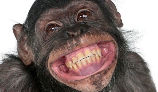 Quiz – przetrwanie „kto zna Emilkę najlepiej”