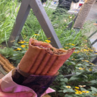 warszawski.kebsik.67