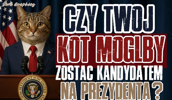 Czy Twój kot mógłby zostać kandydatem na prezydenta?