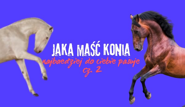 Jaka maść konia najbardziej do ciebie pasuje?cz.2