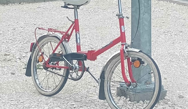 wiedzia o simsoniarz_patryk