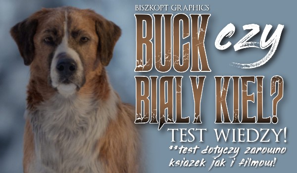 Buck czy Biały Kieł? – test wiedzy!