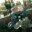 perix.debil.z.yt