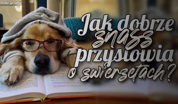Jak dobrze znasz przysłowia o zwierzętach?