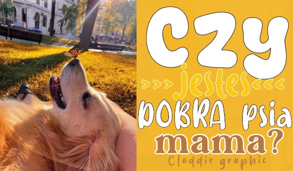 Czy jesteś dobrą psią mamą?