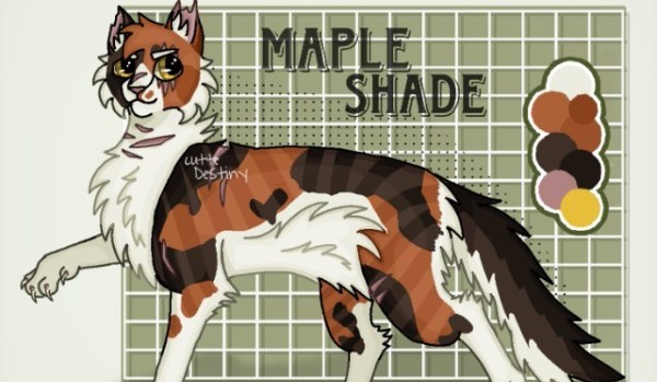 Październik z Wojownikami-dzień 18.