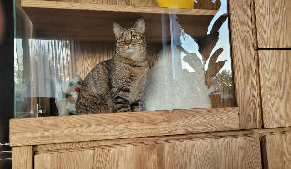 Azja mapa fizyczna 2