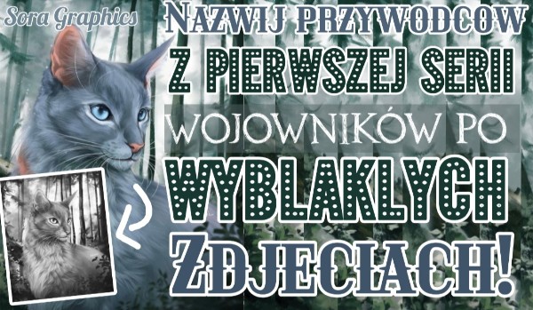 Nazwij przywódców z pierwszej serii „Wojowników” po wyblakłych zdjęciach!