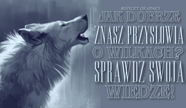 Jak dobrze znasz przysłowia o wilkach?