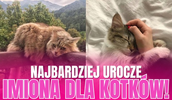 Najbardziej urocze imiona dla kotków! – Głosowanie