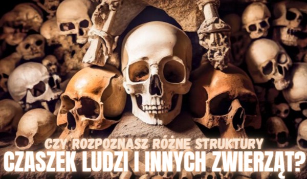 Czy rozpoznasz różne struktury czaszek ludzi i innych zwierząt?