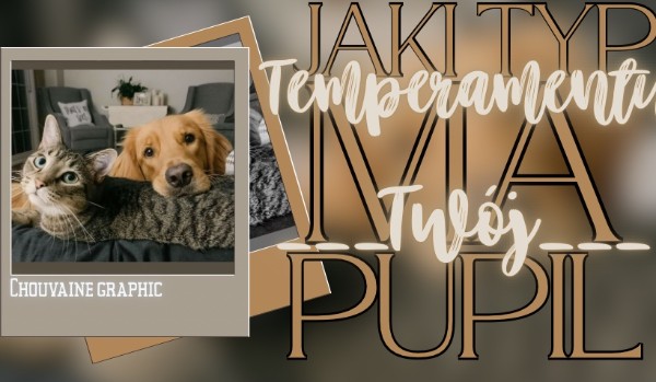 Jaki typ temperamentu ma Twój pupil?