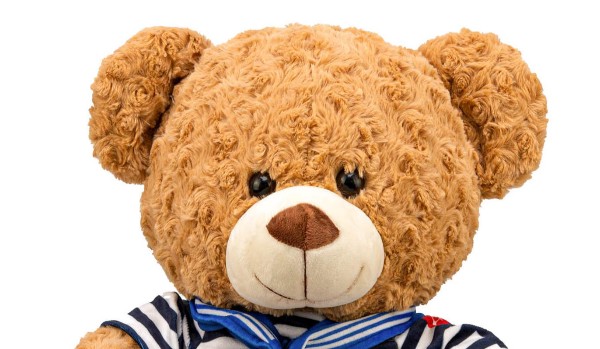 Jakim misiem jesteś?