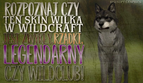 Rozpoznaj czy ten skin wilka z Wildcraft jest zwykły, rzadki, legendarny, mistyczny czy wildclub!