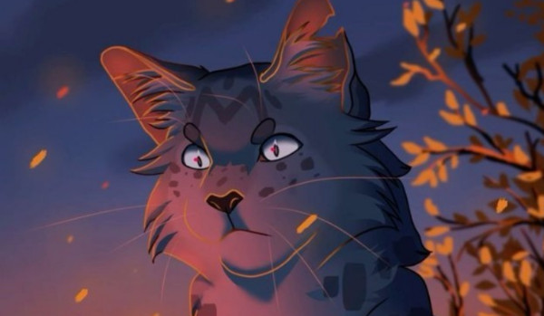 Pażdziernik z Wojownikami-dzień 25.