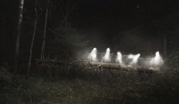 graphic shop – zozzana ”