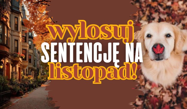Wylosuj sentencję na listopad!
