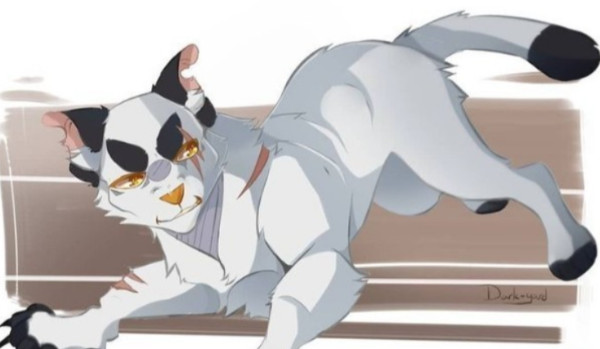 Pażdziernik z Wojownikami-dzień 26.