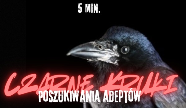 Czarne kruki. Poszukiwania adeptów. Rozdział 1.    5 min. czytania