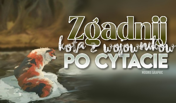 Zgadnij kota z Wojowników po cytacie!