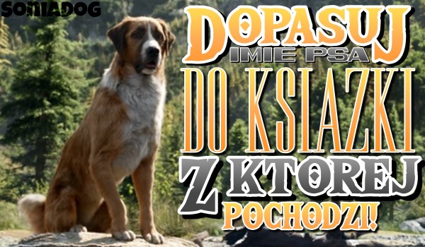 Dopasuj imię psa do książki, z której pochodzi!