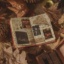 NieMagicznyKebs2137