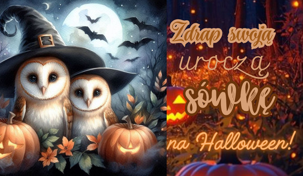 Zdrap swoją uroczą sówkę na Halloween!