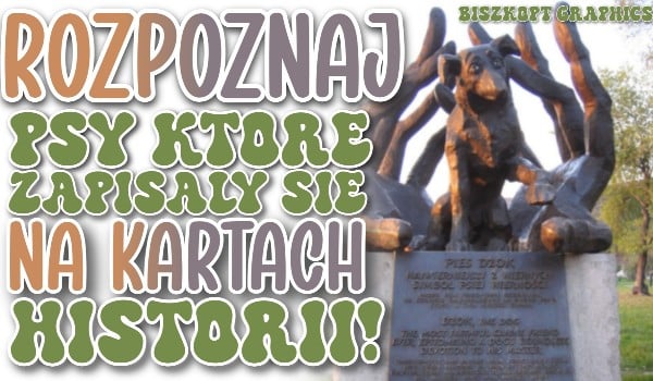 Rozpoznaj psy, które zapisały się na kartach historii!