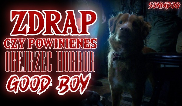 Zdrap, czy powinieneś obejrzeć horror „Good Boy”!