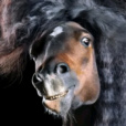 Zosssssiiiiiaaaaaa