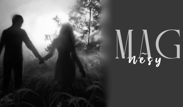 Magnesy • prolog •