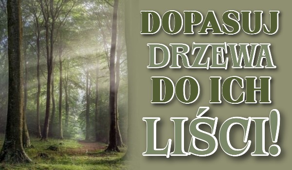 Dopasuj drzewa do ich liści!