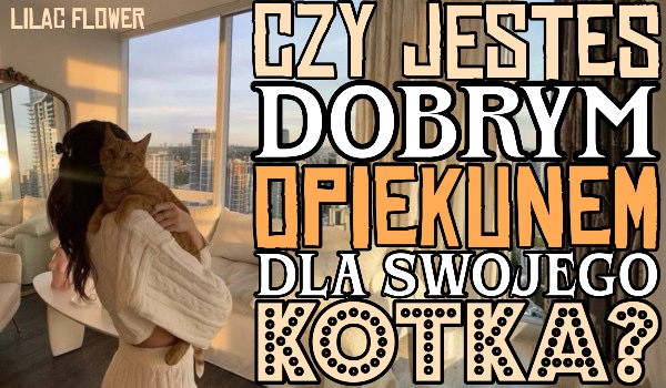 Czy jesteś dobrym opiekunem dla swojego kotka?