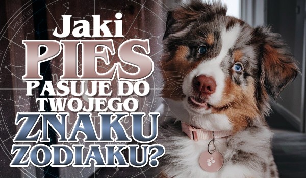 Jaka rasa psa pasuje do Twojego znaku zodiaku?