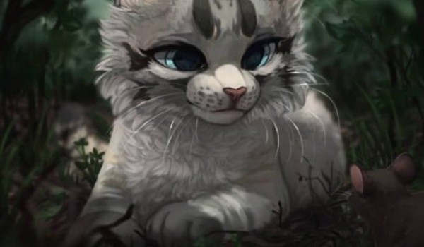 Czy przetrwasz dzień jako medyk wojowników?