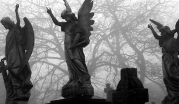 ~”FADED ROSES” Echo Nieśmiertelnych. Część V