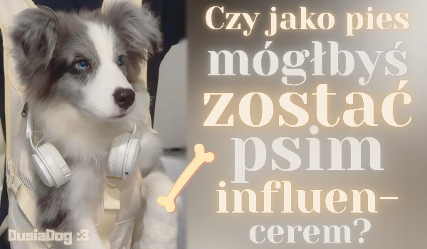 Czy jako pies mógłbyś zostać psim influencerem?