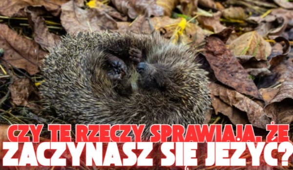 Czy te rzeczy sprawiają, że zaczynasz się jeżyć?