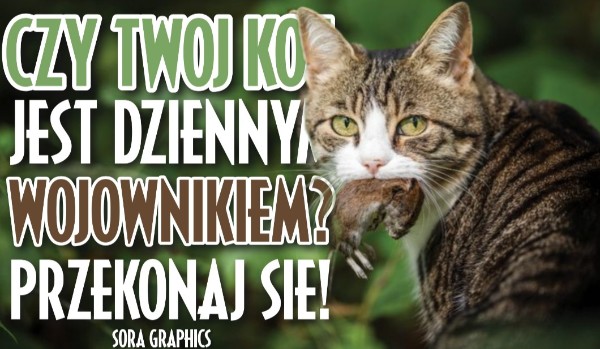 Czy twój kot jest dziennym wojownikiem?